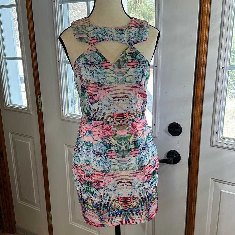 Dainty Hooligan Bodycon Dress